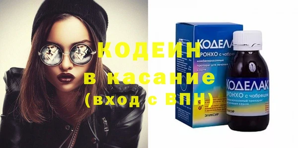 гашик Арсеньев