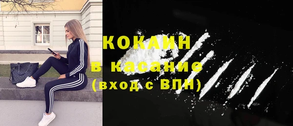 гашик Арсеньев