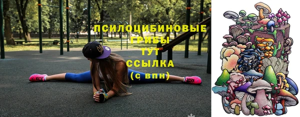 гашик Арсеньев