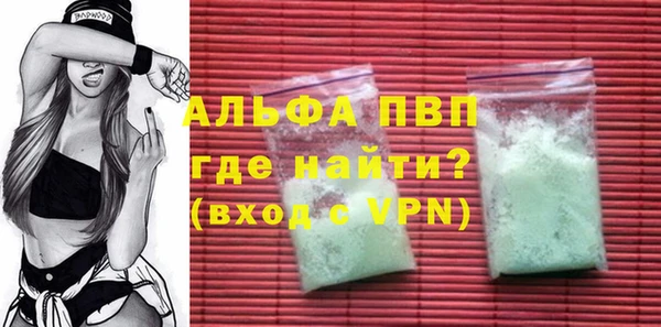 гашик Арсеньев